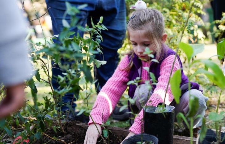 Este sábado arrancan las jornadas gratuitas para compartir en familia.