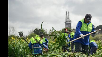 Limpian los márgenes a fondo.