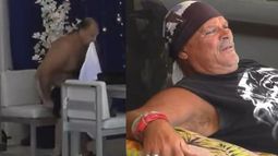Ariel se desnudó en el patio: la fuerte reacción de Alfa
