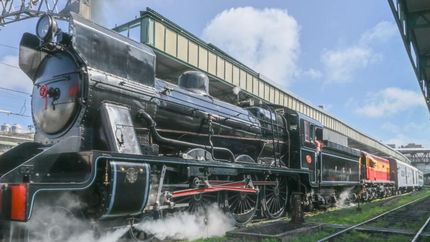 El viaje fue histórico: hacía más de medio siglo que una locomotora a vapor no circulaba por las vías del Tren Roca.
