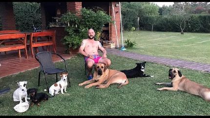 ¿como transitar la cuarentena junto a las mascotas?