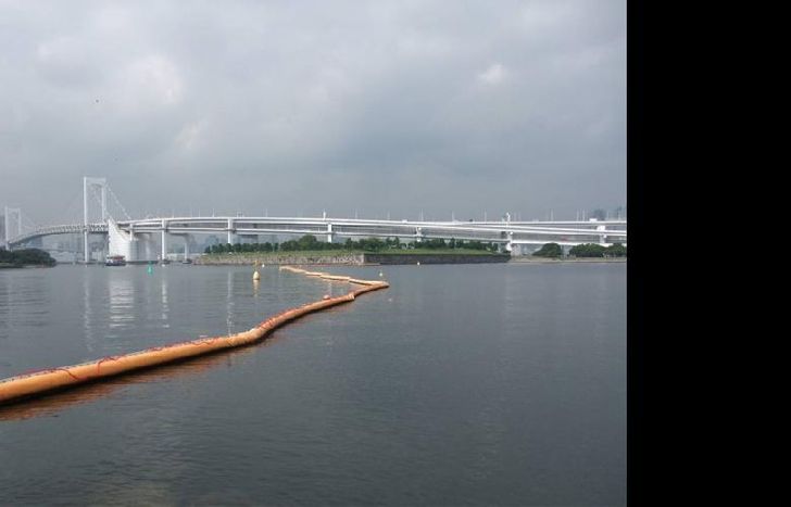 Los niveles de bacterias E. coli en el agua duplicaban el límite permitido.