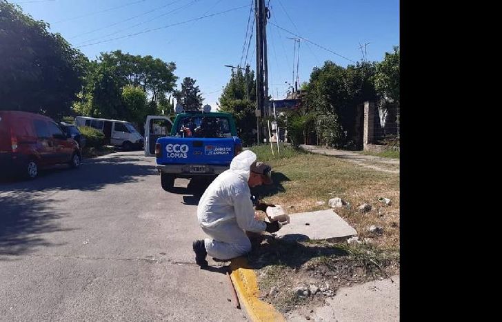 se realizan fumigaciones preventivas que ayudan a evitar problemas más graves.
