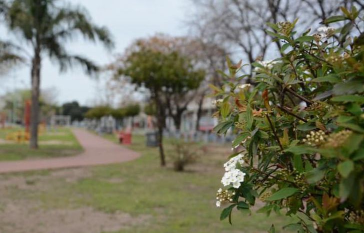 Hay cinco parques municipales en Lomas.