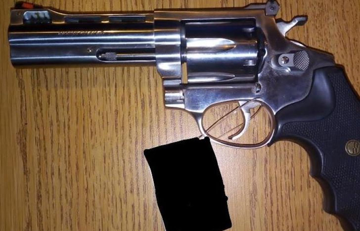 El Gobierno envió el proyecto que busca regularizar la tenencia de armas.