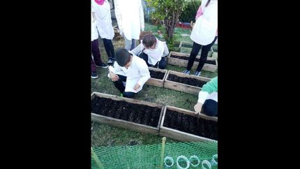 los alumnos aprenden a armar huertas organicas