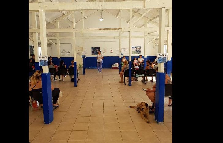 las mascotas contarán con una mejor atención.