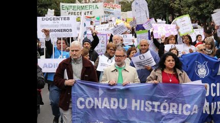los docentes universitarios realizaran un paro de 48 horas