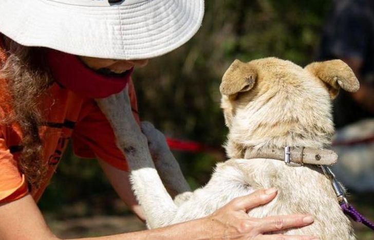 Un encuentro para ayudar a los sin voz.