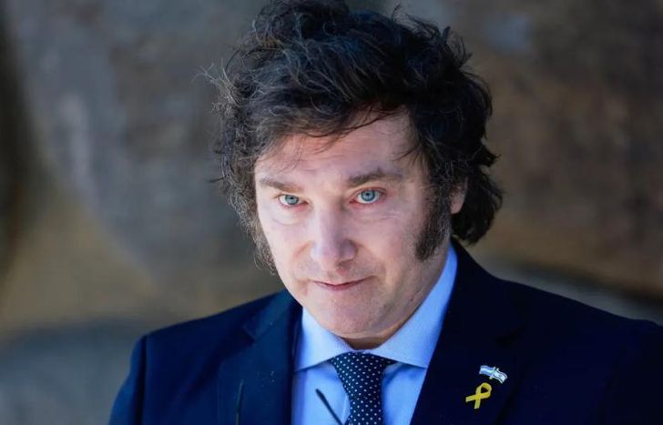 El secretario de la Federación Universitaria Argentina (FUA), Agustín Romero, planteó que el Presidente quiere privatizar las universidades para convertirlas en un modelo que esté al servicio del mercado.