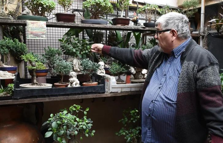 A pesar de los obstáculos de la vida, Héctor continúa ligado al cultivo de bonsáis, su cable a tierra.