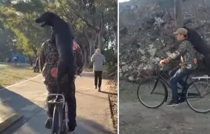 El paseo que se volvió viral en las redes sociales.