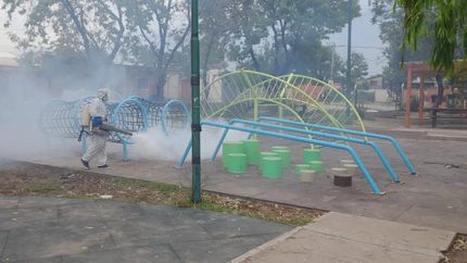 Todos los días hay fumigaciones en los barrios.