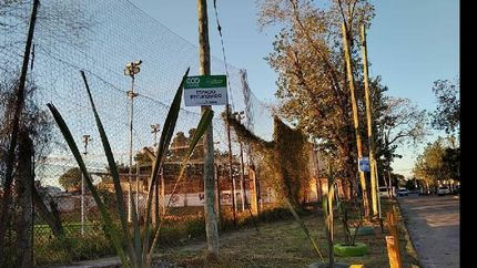 eco lomas: recuperaron una esquina donde habia basura; ahora hay plantas