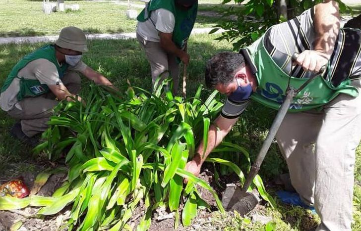 Trabajos en el Parque Caaguazú de San José.