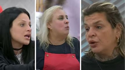 Selva contra del originales de Gran Hermano.