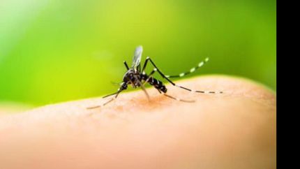 para tomar precauciones.