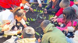 Incorporan huertas agroecológicas en más escuelas de Lomas.