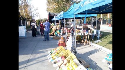 jornada en san josé.