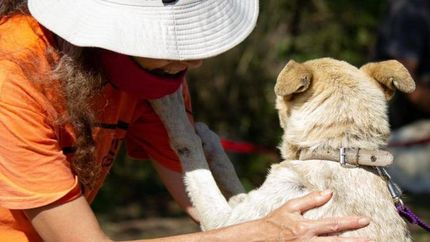 Un encuentro para ayudar a los sin voz. Un encuentro para ayudar a los sin voz.
