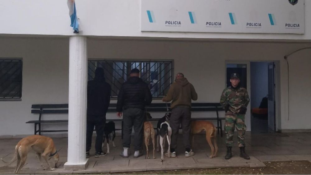 Llevaban perros galgos para cazar. Llevaban perros galgos para cazar.