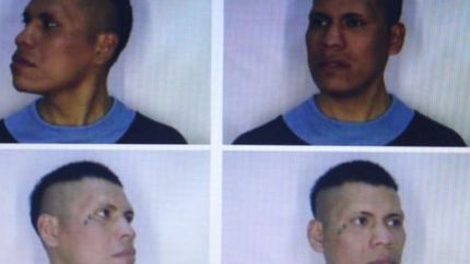 Enzo Matías Pérez es intensamente buscado por la Policía. Enzo Matías Pérez es intensamente buscado por la Policía.