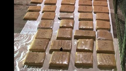 cayeron narcos con 300 kilos de marihuana