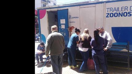 zoonosis atiende a las mascotas en lomas centro