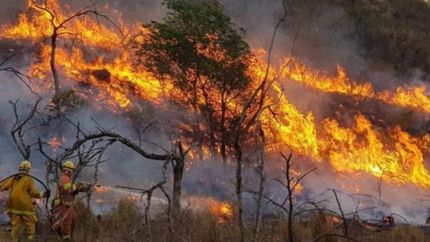 Este viernes en la previa del partido estarán juntando donaciones.