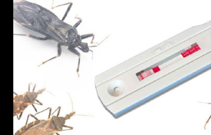 el proyecto está en marcha.