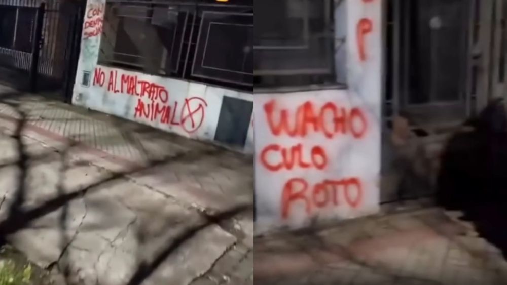 El escrache en la casa del joven que pisó al gato en Temperley.