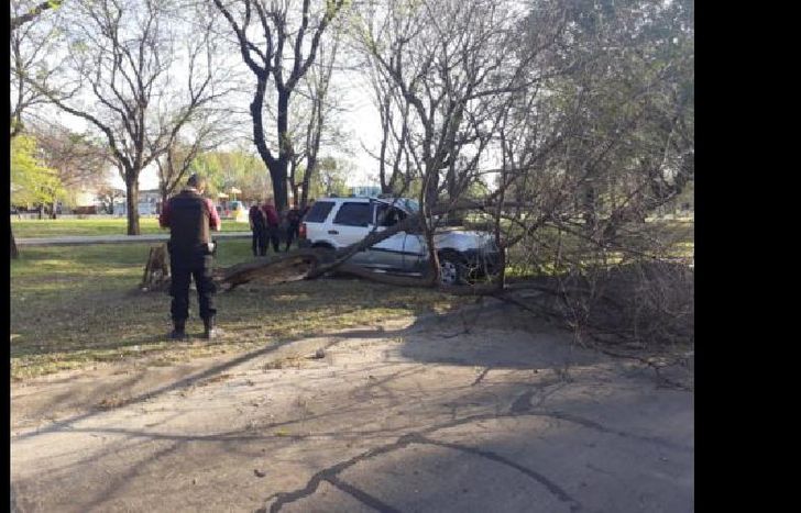 cuando perdieron el control del vehículo robado fueron capturados.