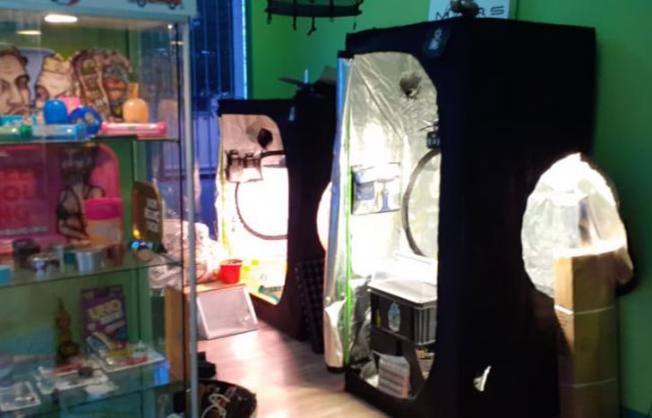 Holy Bhang, en Talcahuano al 100, en Banfield.