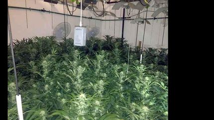 Se desbarató un gran negocio de drogas.