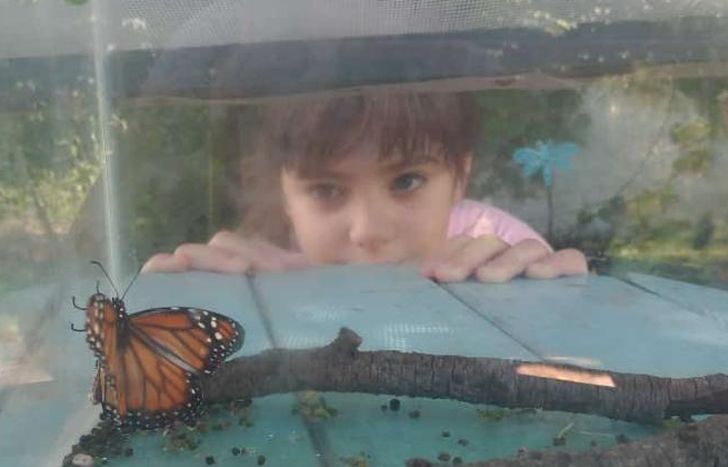 Muriel hace reflexionar sobre el poder de la naturaleza.