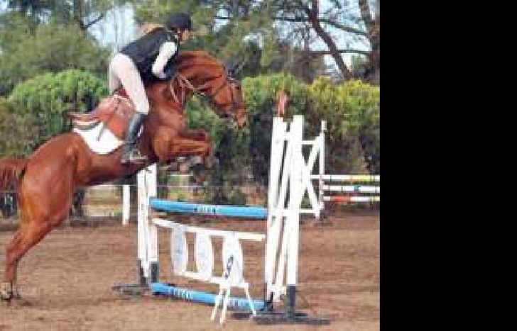 equitacion