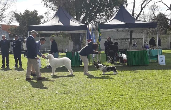 Fueron dos jornadas exitosas con exponentes del interior del país y dos concursantes de Chile.