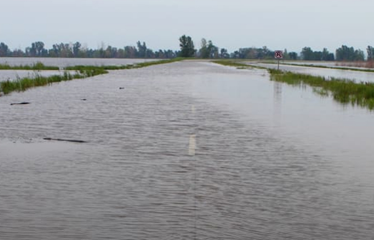 El Niño en el conurbano bonaerense: los peligros que podría transitar la región.