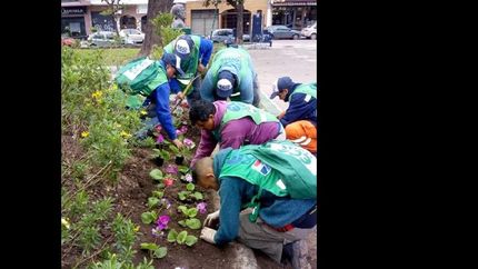 mejoran el estado de las plazas y los espacios verdes de lomas