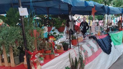 La feria se desarrollará de 17 a 22.