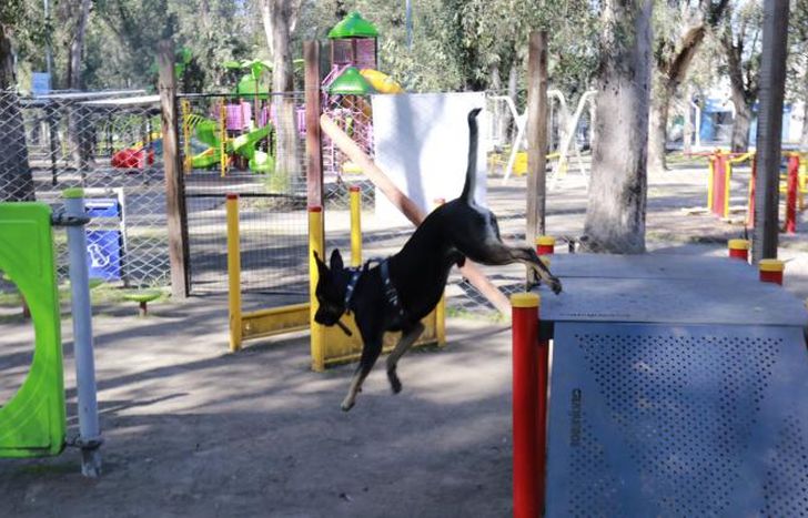 Hay toboganes y diferentes juegos en los que pueden treparse y saltar.