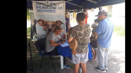 el área de zoonosis aplicó vacunas antirrábicas a perros y gatos.