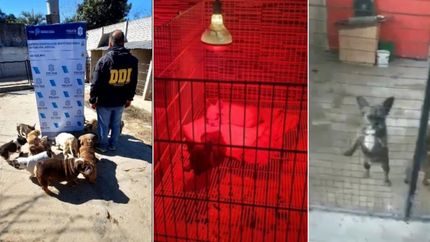 El operativo estuvo a cargo de la DDI de Quilmes.