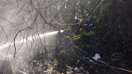 Los bomberos tuvieron una complicada tarea entre la basura y las ramas.