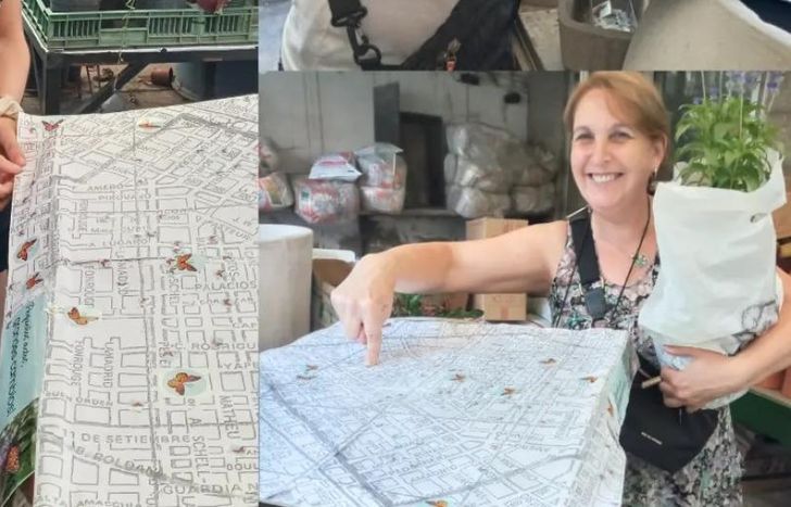 Las familias se van sumando al mapa de mariposas.