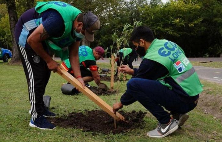 Plantaron 60 ejemplares en el Parque de Lomas.