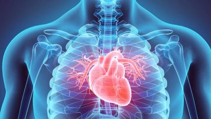 Podrían aumentar las enfermedades coronarias.