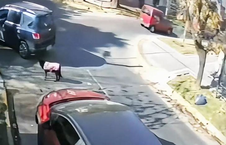 La secuencia quedó grabada por una cámara de seguridad.