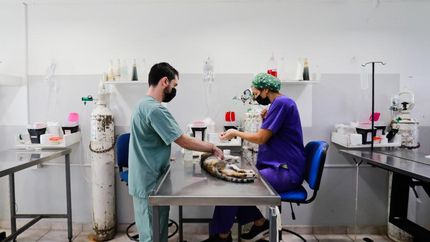 El hospital es de características únicas en la Provincia.