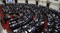 Luego de un debate de más de 11 horas, la Libertad Avanza y aliados lograron aprobar la reforma pro minera a la Ley de Glaciares.&nbsp;